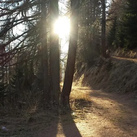Astrid Appartement Münster