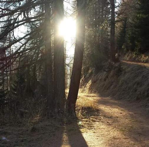 Astrid 公寓 Münster